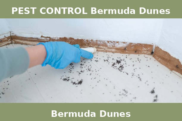 PEST CONTROL Bermuda Dunes